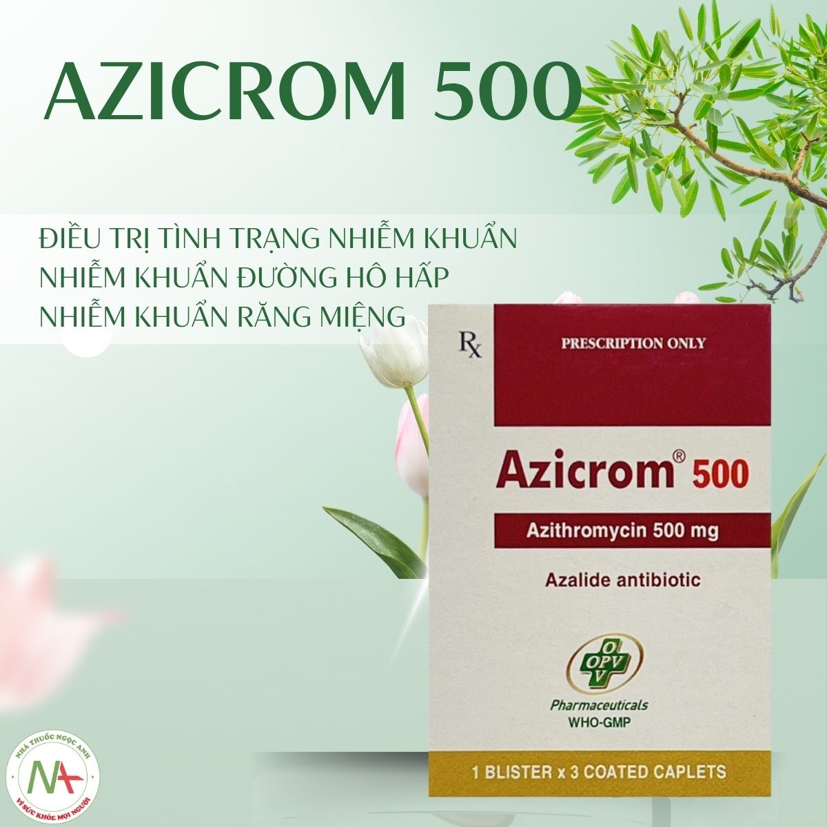 Azicrom 500 điều trị tình trạng nhiễm khuẩn