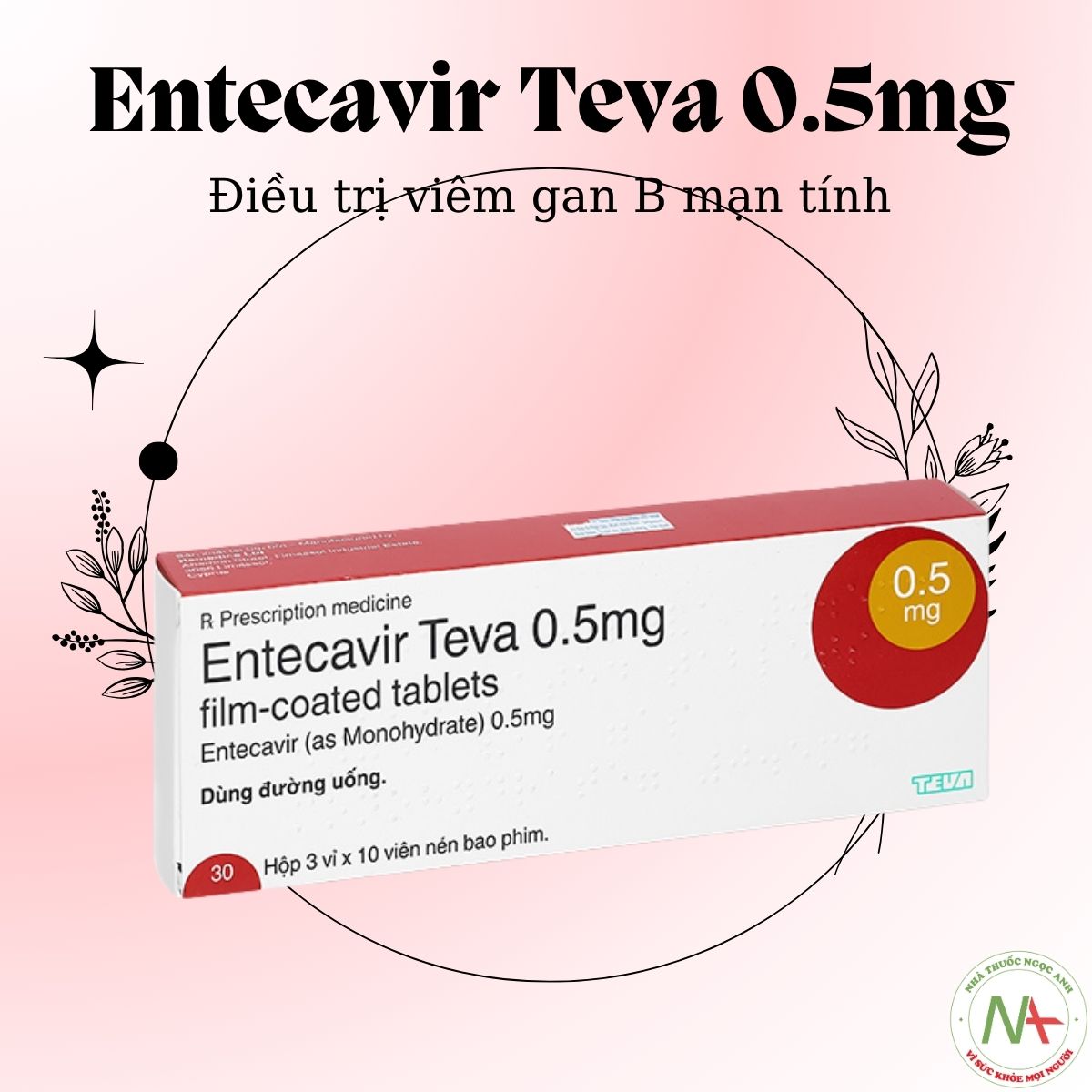 Entecavir Teva 0.5mg 3 Entecavir Teva 0.5mg điều trị viêm gan B mạn tính