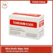 Terneurine H.5000