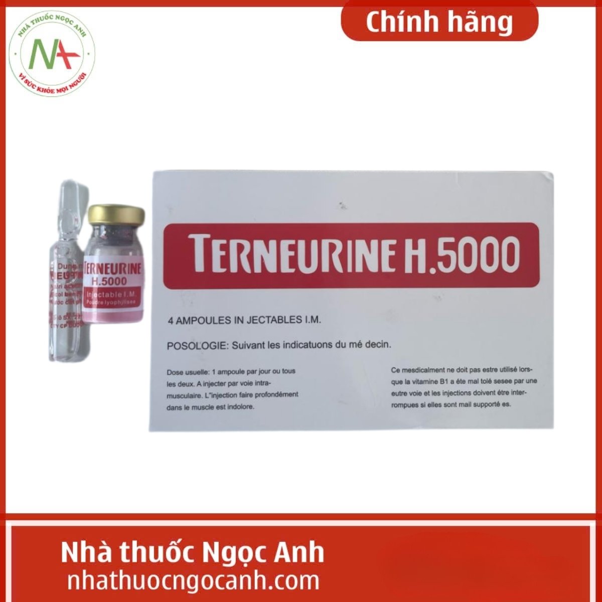 Terneurine H.5000