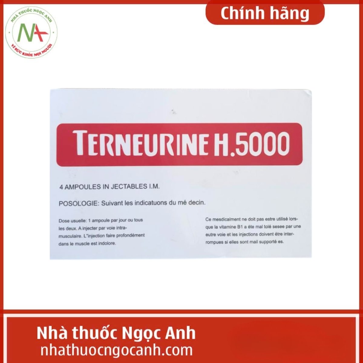 Terneurine H.5000