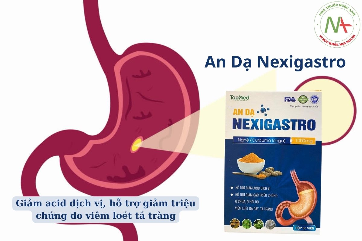 An Dạ Nexigastro