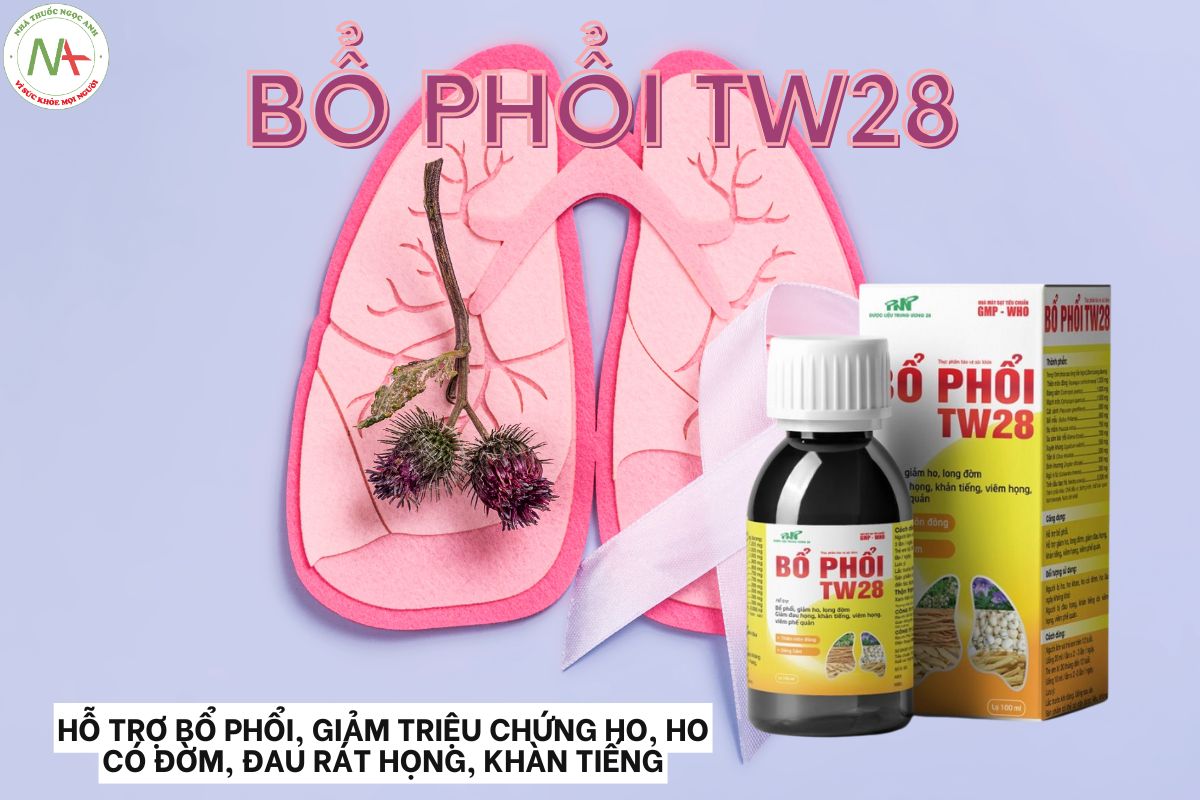 Bổ Phổi TW28 3 Bổ Phổi TW28 hỗ trợ bổ phổi, giảm triệu chứng ho, ho có đờm