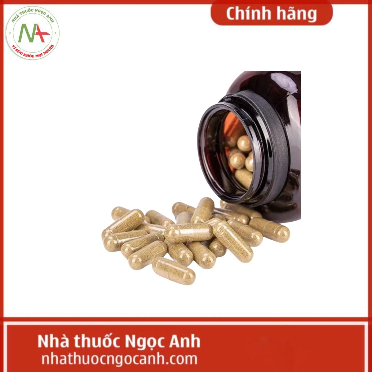 Boticinal Cartilage De Requin