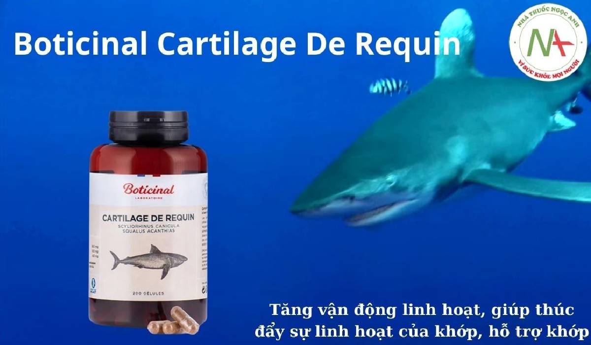 Boticinal Cartilage De Requin  p, hỗ trợ khớp