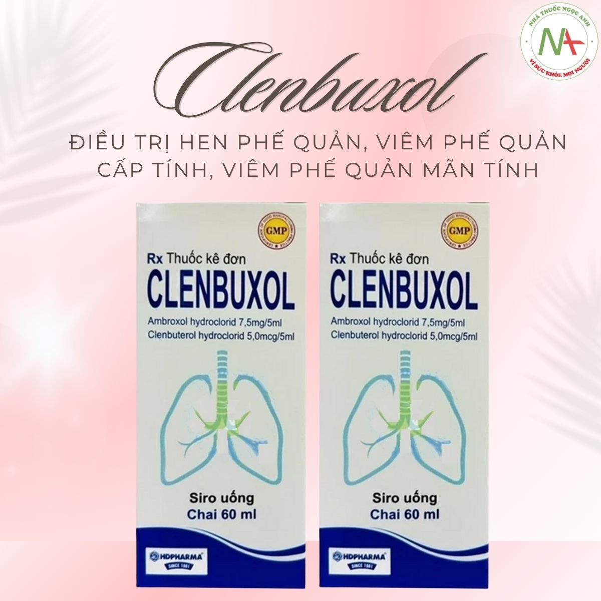 Clenbuxol điều trị hen phế quản, viêm phế quản cấp tính, viêm phế quản mãn tính, bệnh khí phế thủng