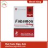 Fabamox 250mg (Dạng bột)