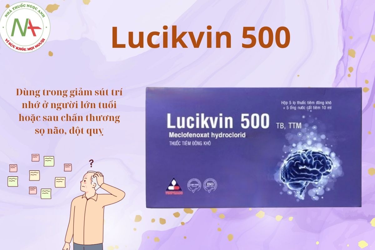 Lucikvin 500 3 Lucikvin 500