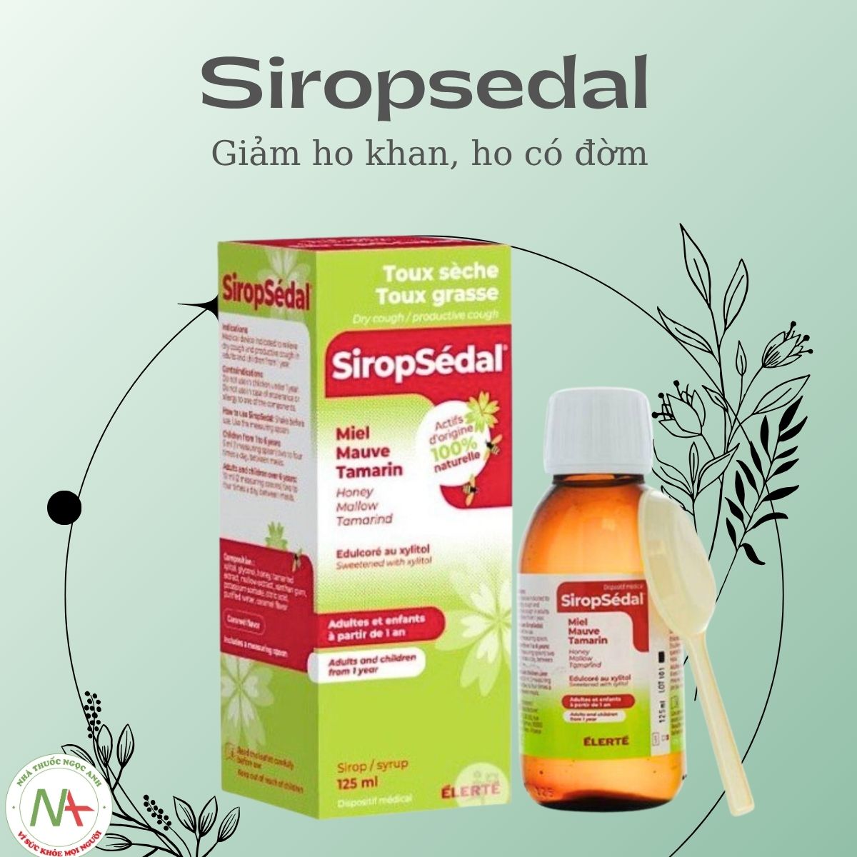 Siropsedal 3 Siropsedal hỗ trợ giảm ho khan, ho có đờm