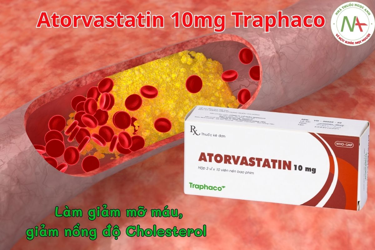 Atorvastatin 10mg Traphaco 3 Thuốc Atorvastatin 10mg Traphaco làm giảm mỡ máu, nồng độ Cholesterol