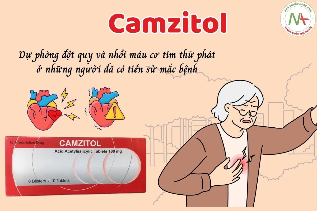 Thuốc Camzitol dự phòng đột quỵ và nhồi máu cơ tim thứ phát