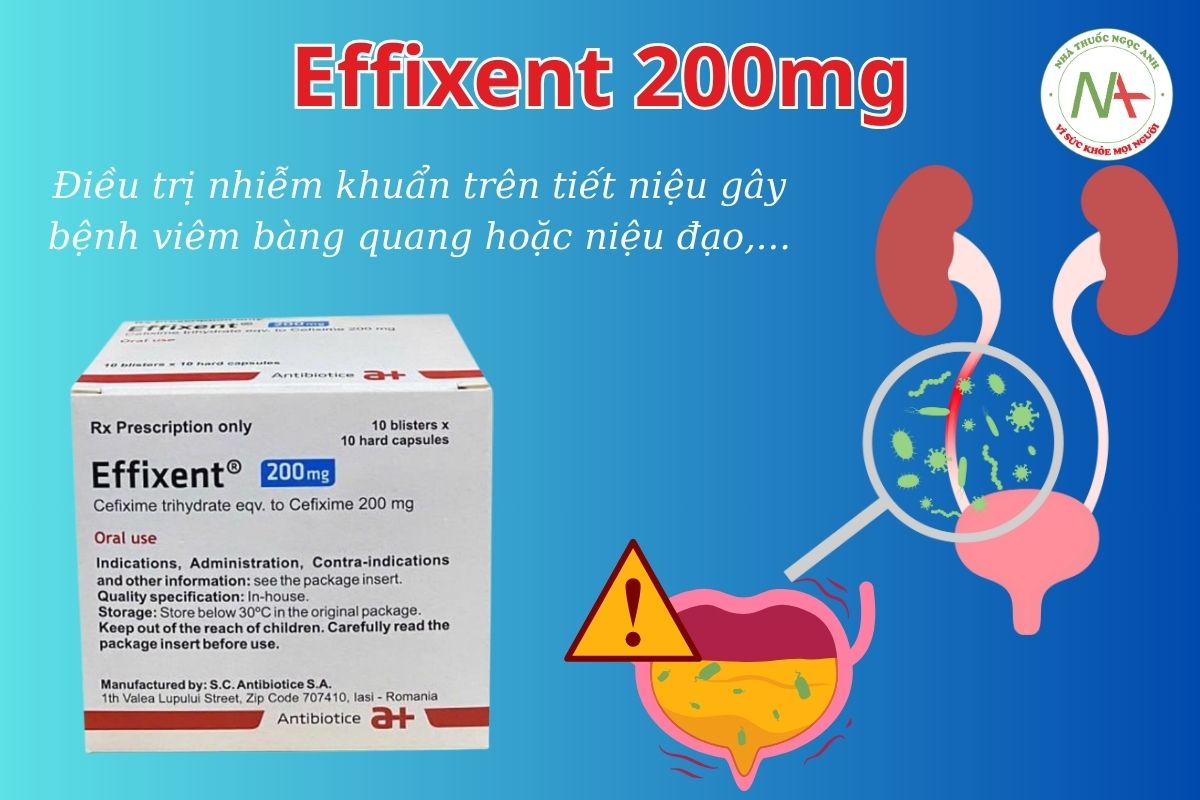 Effixent 200mg 3 Effixent 200mg điều trị nhiễm khuẩn trên tiết niệu