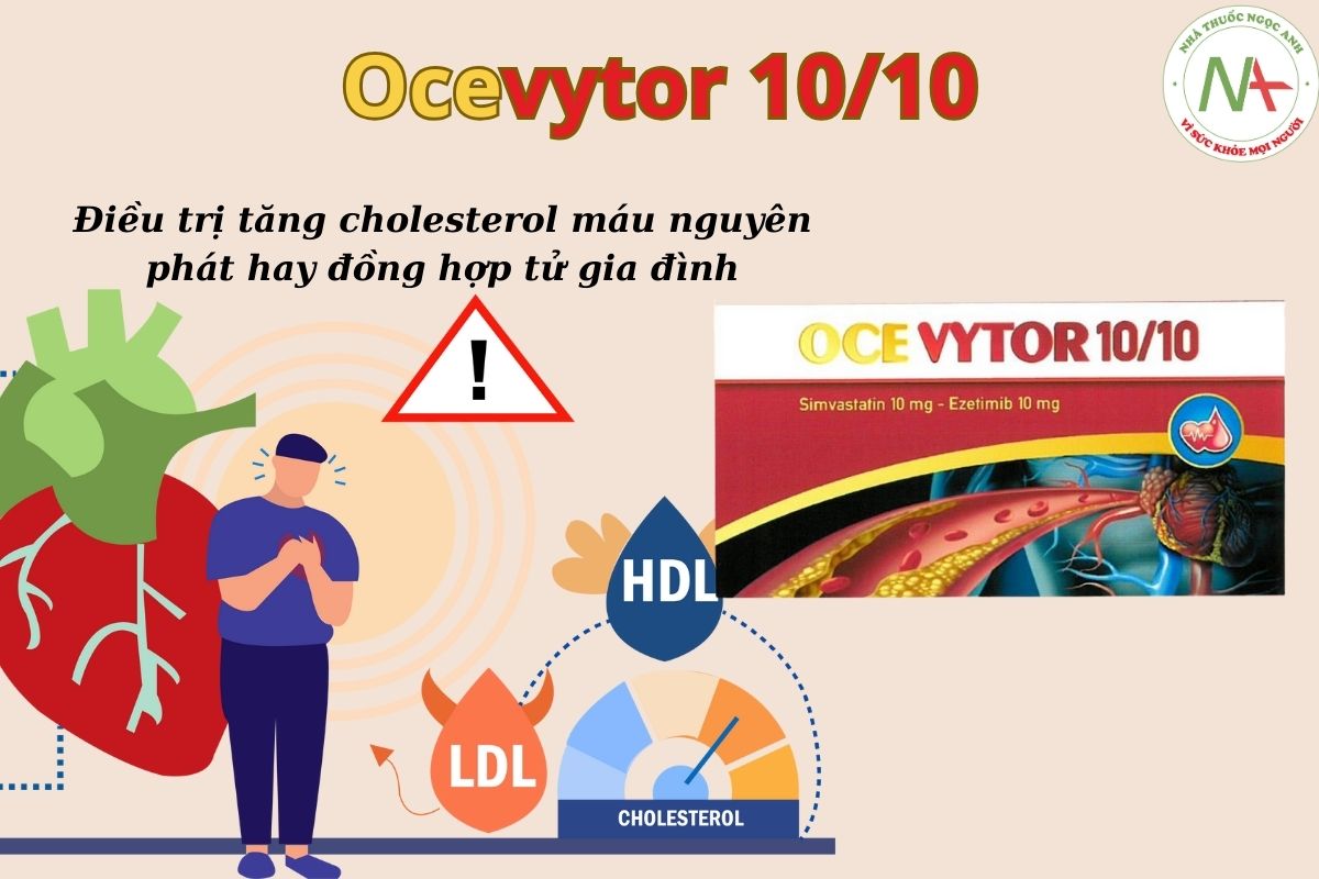 Thuốc Ocevytor 10/10 điều trị tăng cholesterol máu