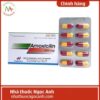 Amoxicilin 500mg Thephaco