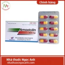 Amoxicilin 500mg Thephaco