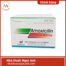 Amoxicilin 500mg Thephaco