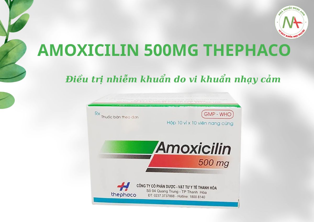 Amoxicilin 500mg Thephaco