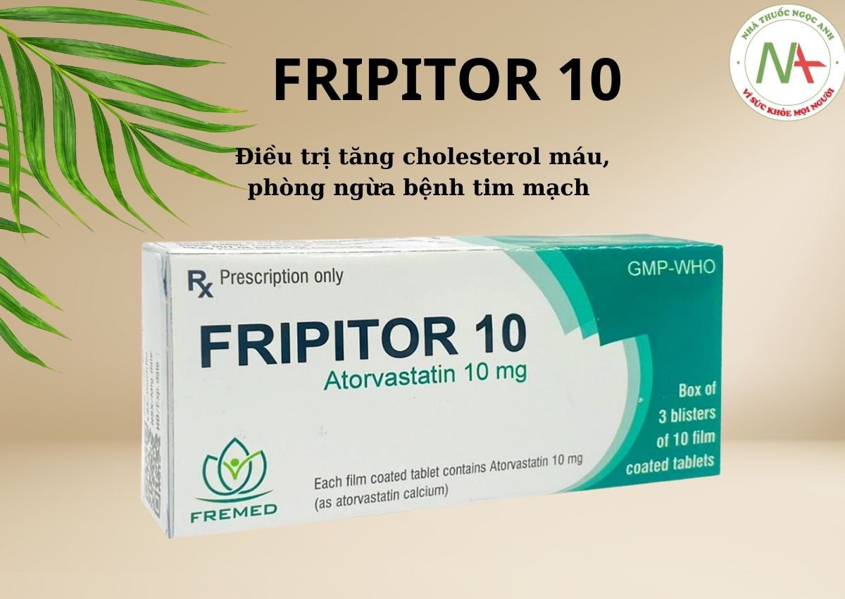 Fripitor 10 3 Fripitor 10