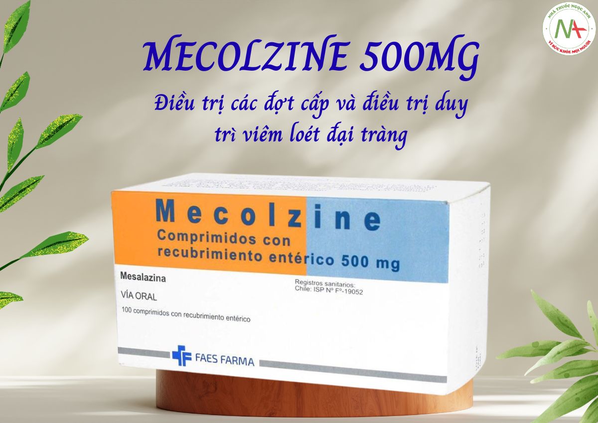 Mecolzine 500mg