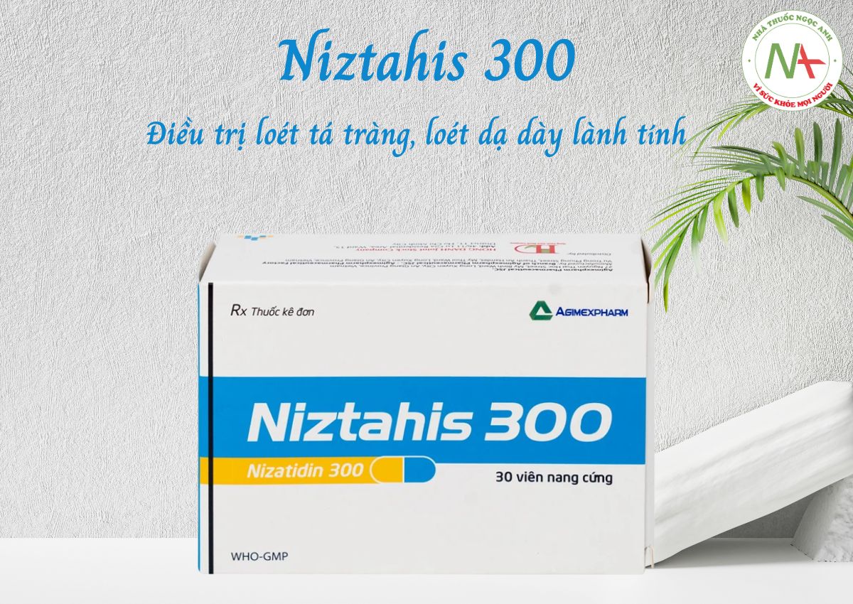 Niztahis 300
