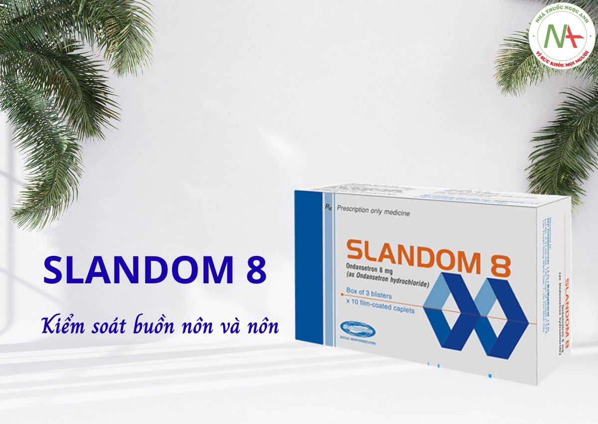 Slandom 8