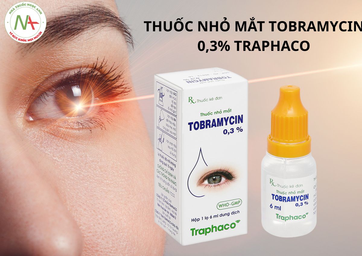 Thuốc nhỏ mắt Tobramycin 0,3% Traphaco