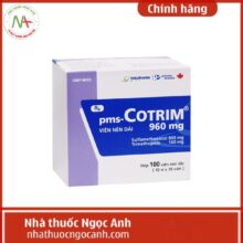 pms-Cotrim 960mg