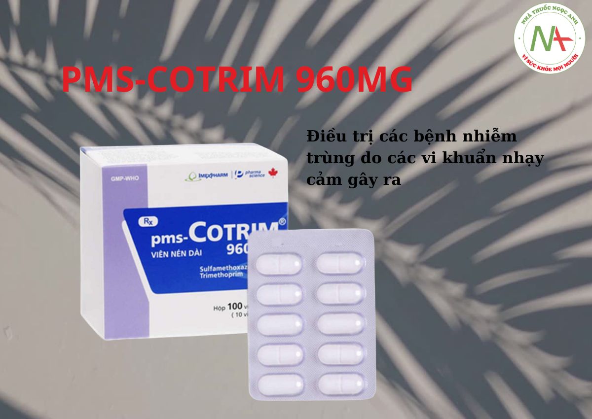 pms-Cotrim 960mg