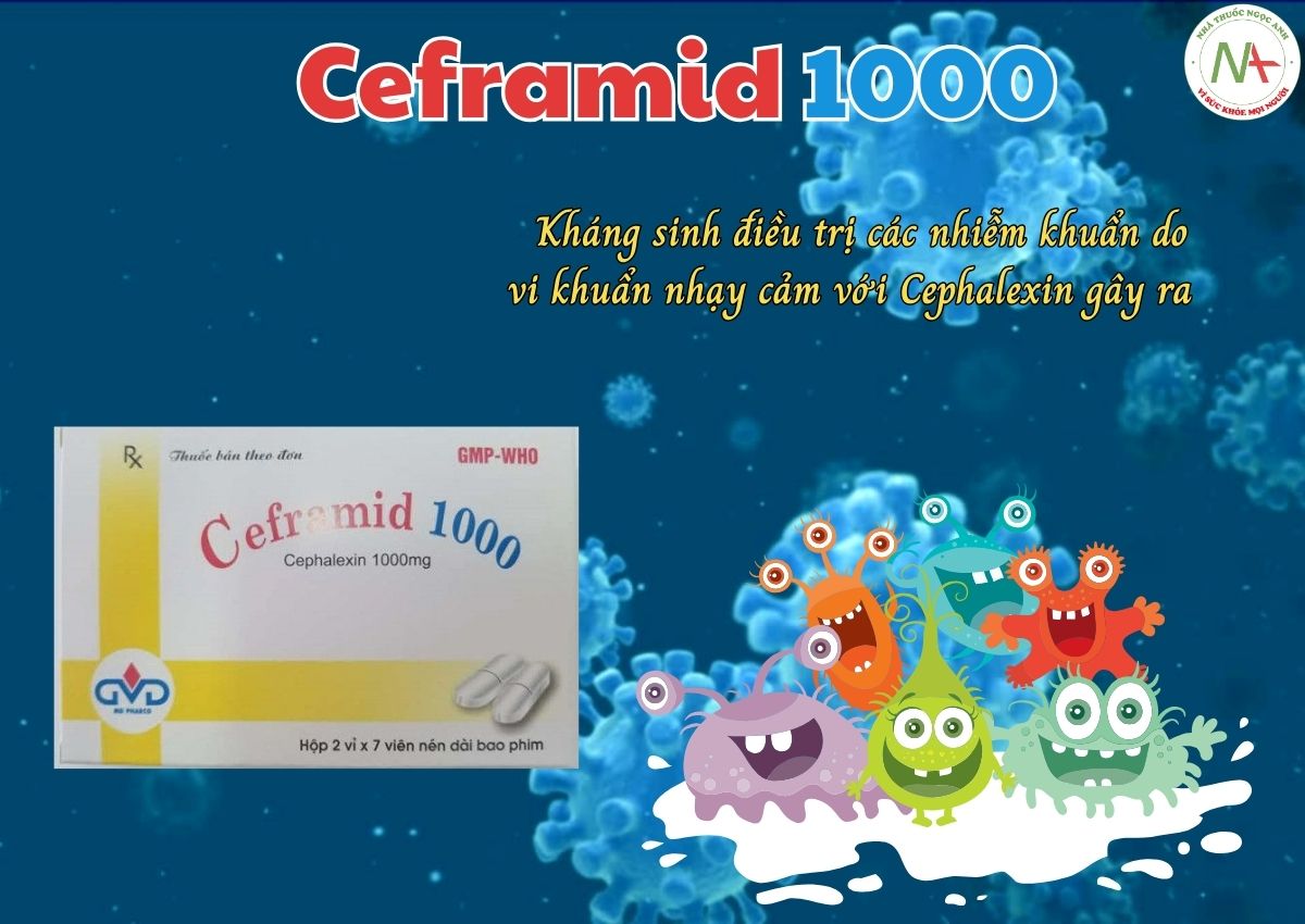 Thuốc Ceframid 1000 điều trị các trường hợp nhiễm khuẩn