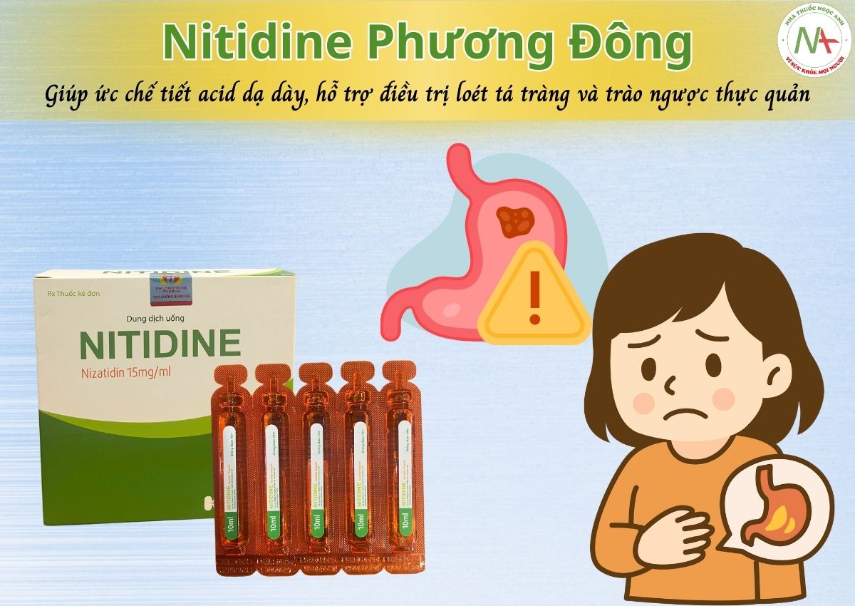 Thuốc Nitidine Phương Đông điều trị loét tá tràng và trào ngược thực quản
