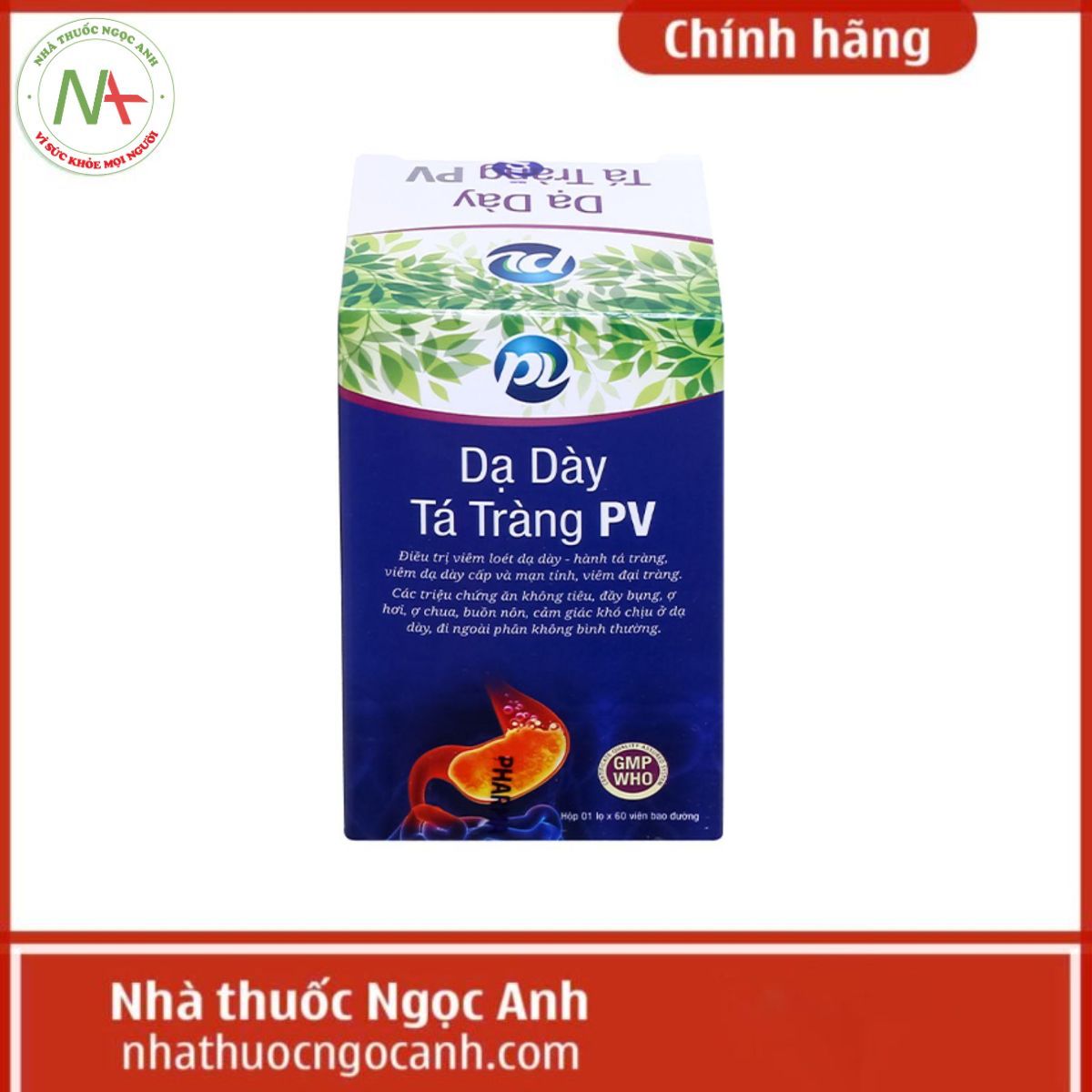 Dạ Dày Tá Tràng PV