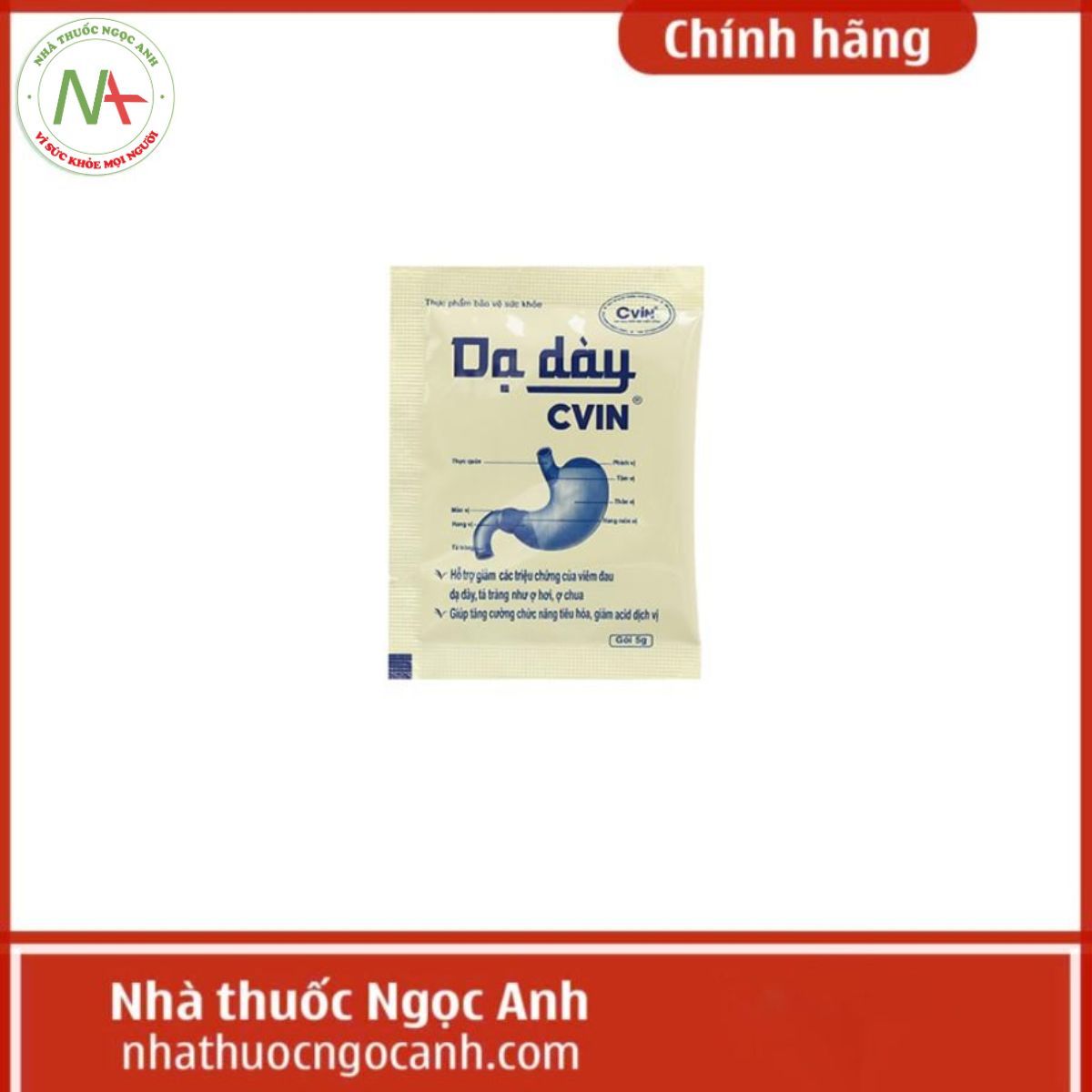 Dạ dày CVIN