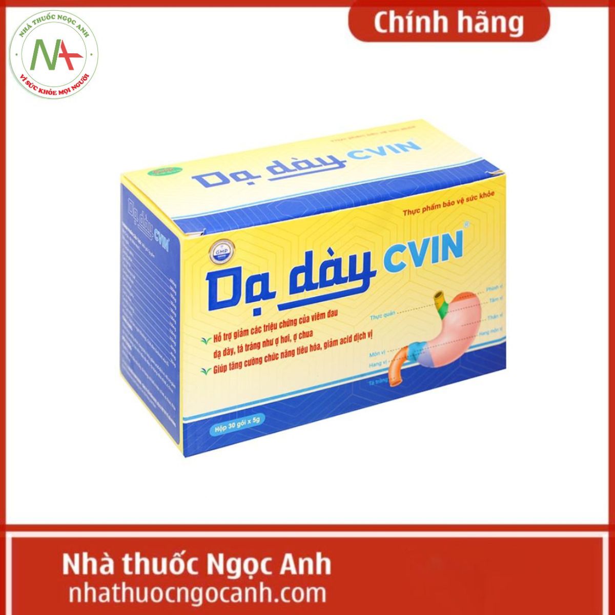 Dạ dày CVIN