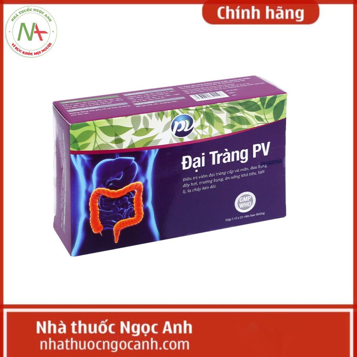 Đại Tràng PV