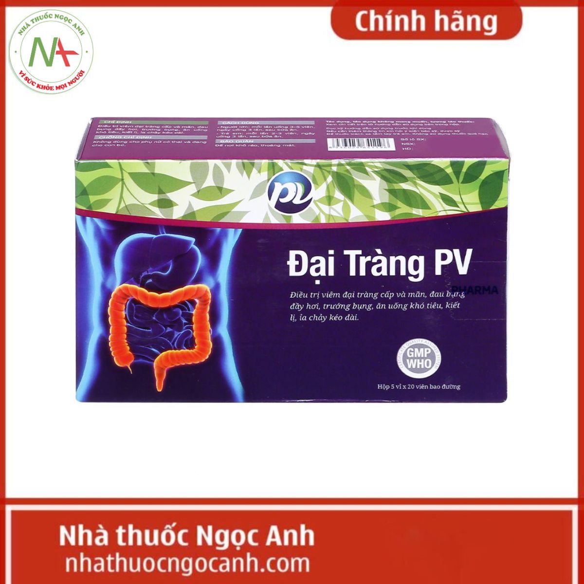 Đại Tràng PV