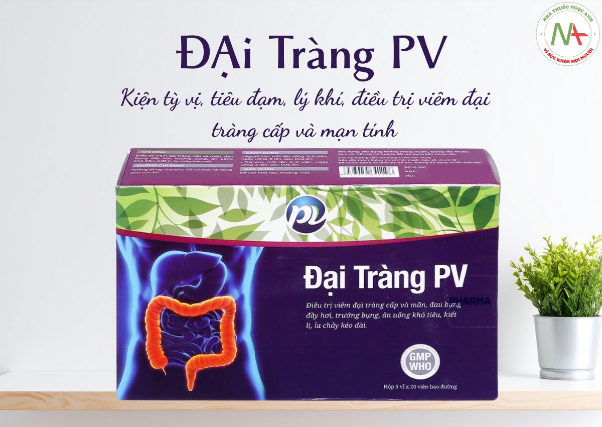 Đại Tràng PV