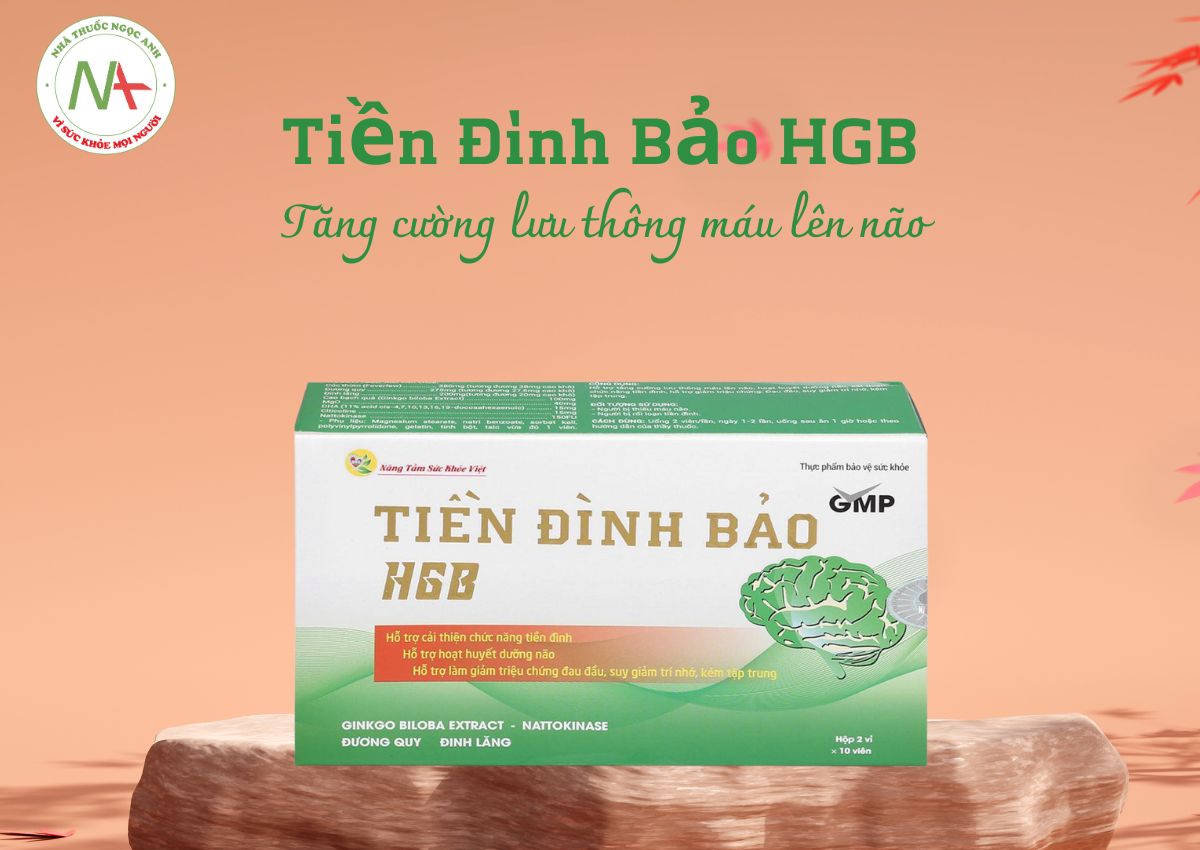 Tiền Đình Bảo HGB
