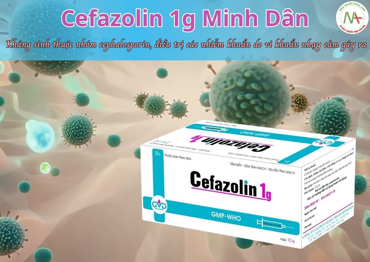 Thuốc Cefazolin 1g Minh Dân là kháng sinh thuộc nhóm cephalosporin