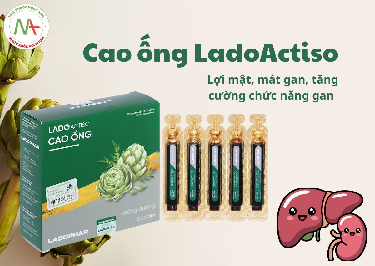 Cao ống LadoActiso