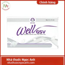 Well GSV