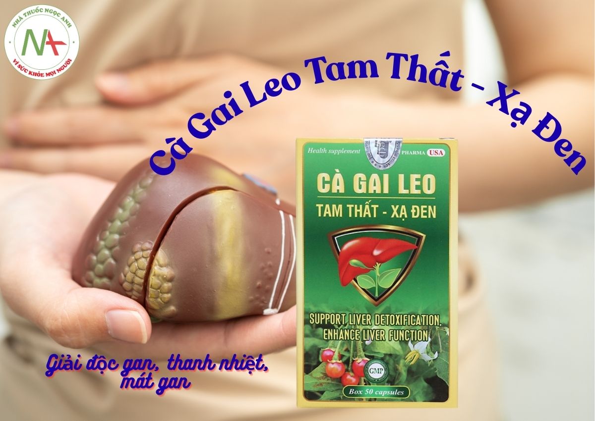 Cà Gai Leo Tam Thất - Xạ Đen Rostex Pharma USA