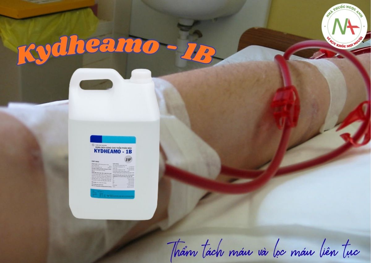 Kydheamo - 1B 3 Kydheamo - 1B