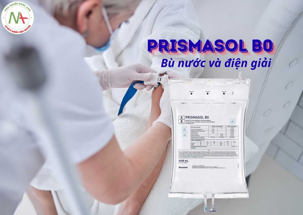 Prismasol B0 3 Prismasol B0