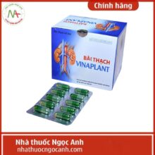Bài Thạch Vinaplant