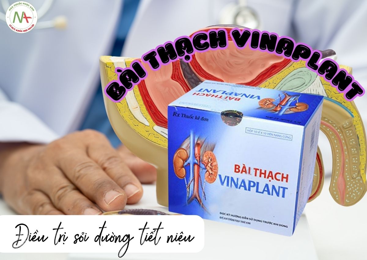 Bài Thạch Vinaplant 3 Bài Thạch Vinaplant