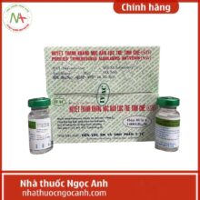 Huyết thanh kháng nọc rắn lục tre tinh chế (SAV)