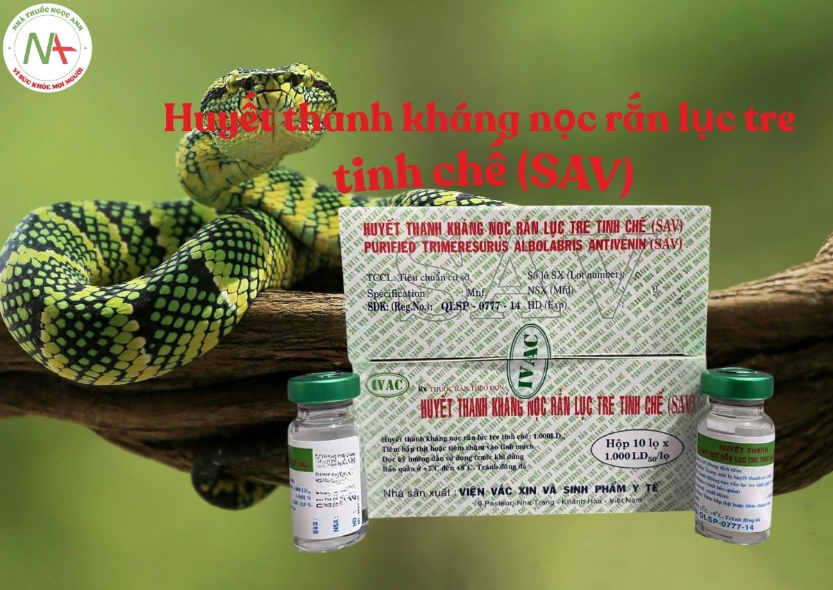 Huyết thanh kháng nọc rắn lục tre tinh chế (SAV) 3 Huyết thanh kháng nọc rắn lục tre tinh chế (SAV)