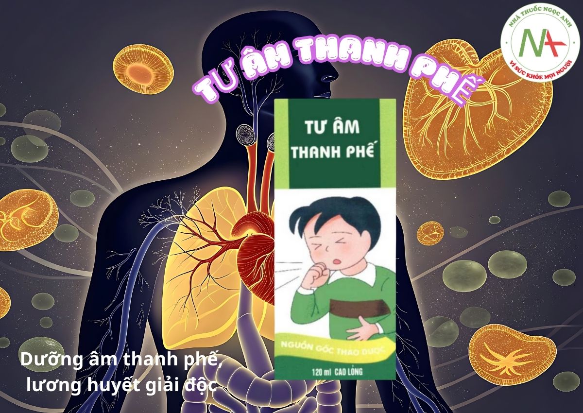Tư Âm Thanh Phế 3 Tư Âm Thanh Phế
