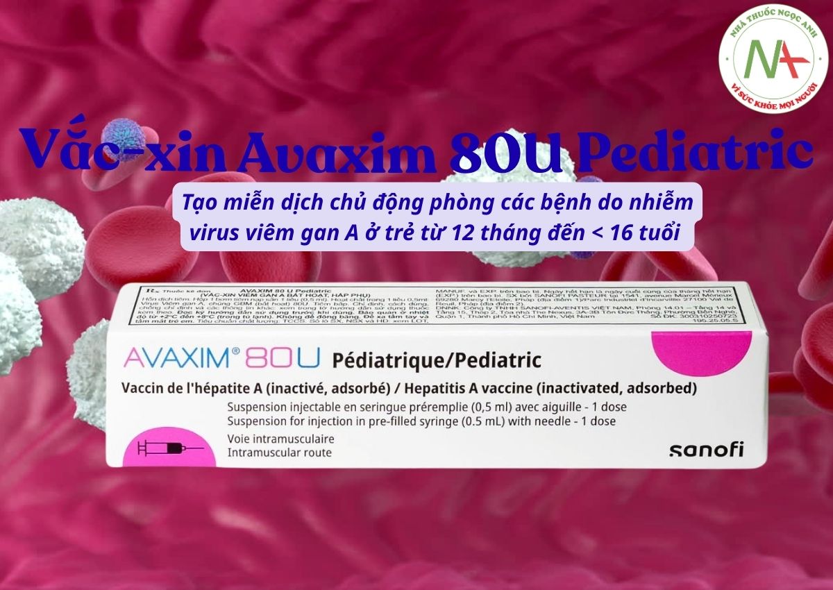 Vắc-xin Avaxim 80U Pediatric 3 Vắc-xin Avaxim 80U Pediatric