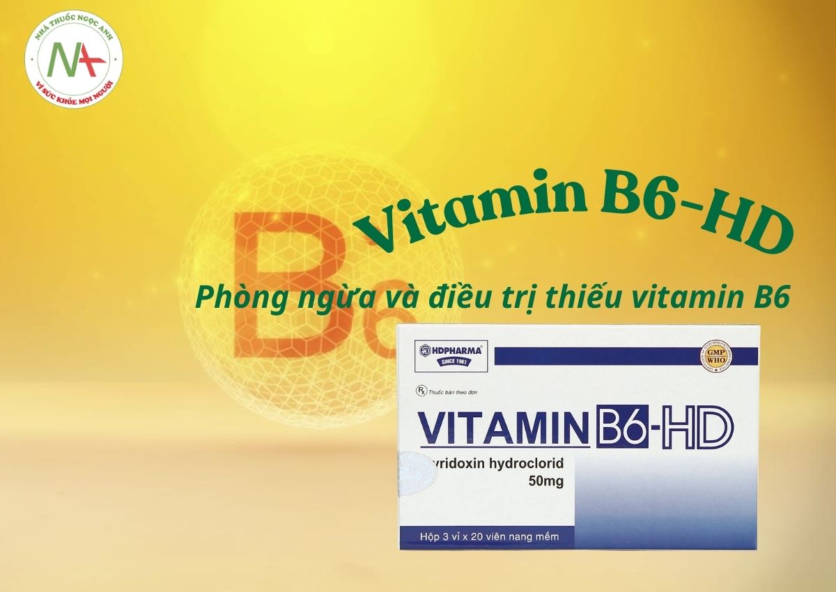 Vitamin B6-HD 3 Vitamin B6-HD
